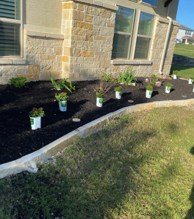 <h2>Grass Planting & Turf Establishment</h2>