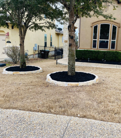 <h2>Professional Tree Trimming</h2>